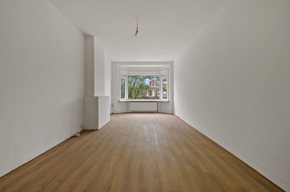 Jan Van Der Heijdenstraat 149