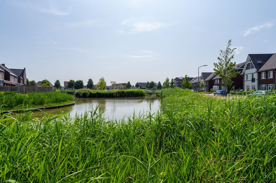 Boomgaard 37