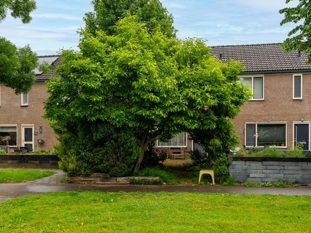 Merweplein 39, Woudrichem