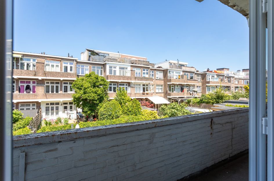 Pippelingstraat 99
