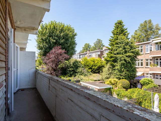 Pippelingstraat 99, 's-Gravenhage