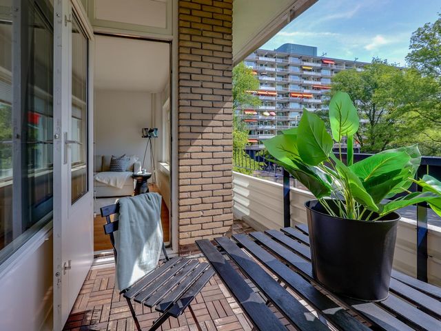 Donau 100, Amstelveen