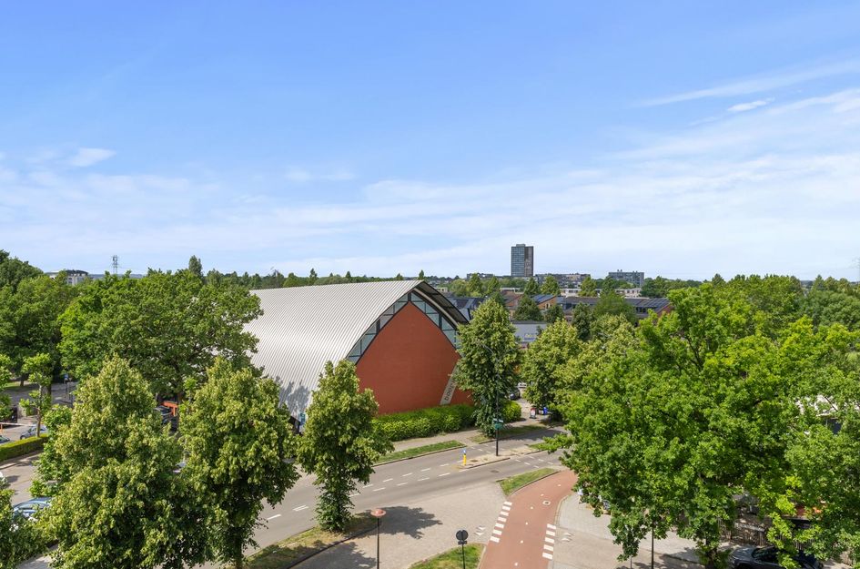 Noorderlicht 31
