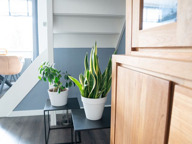 Mossel 34, Hellevoetsluis