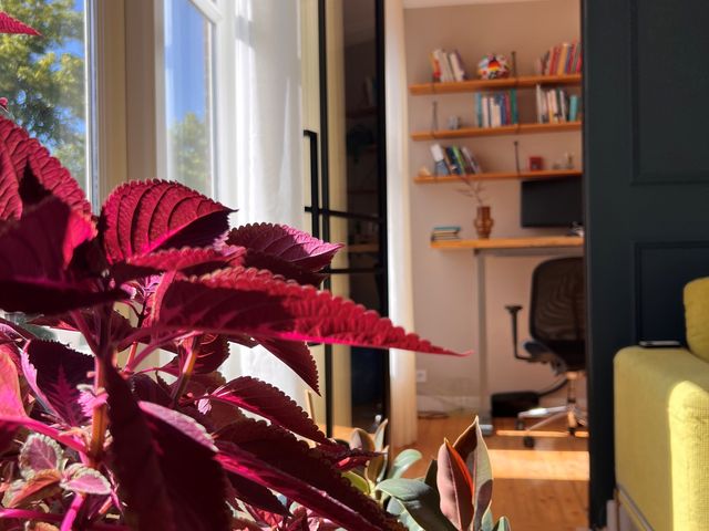 Regentesselaan 298, Den Haag