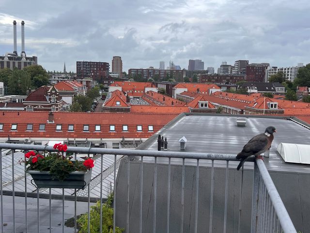 Regentesselaan 298, Den Haag