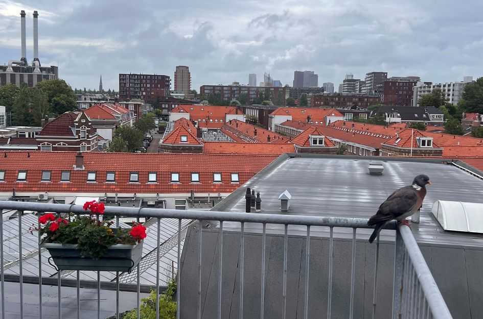 Regentesselaan 298