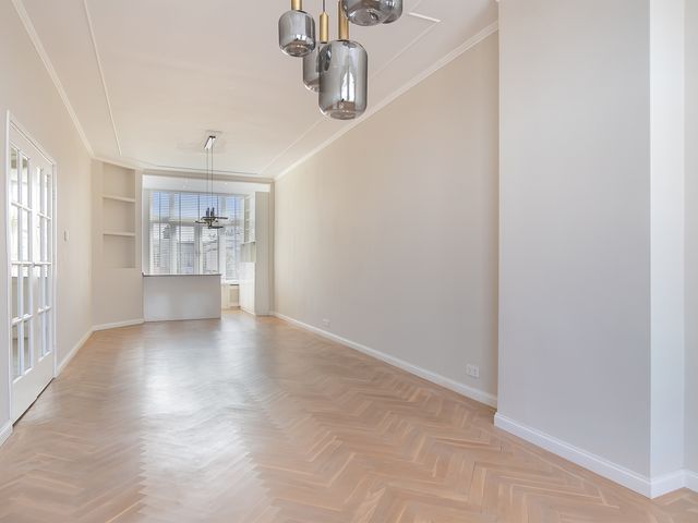 Anton de Haenstraat 21, 's-Gravenhage