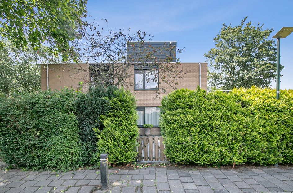 Distelweide 153
