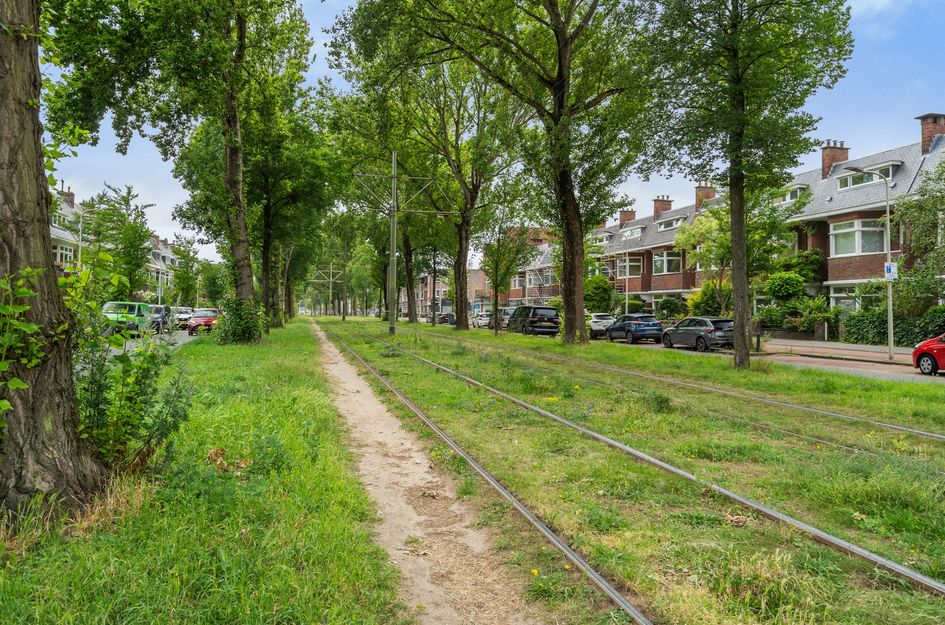 Laan van Meerdervoort 631
