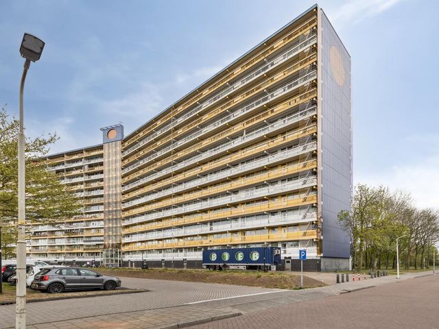 Pharus 1, Zaandam
