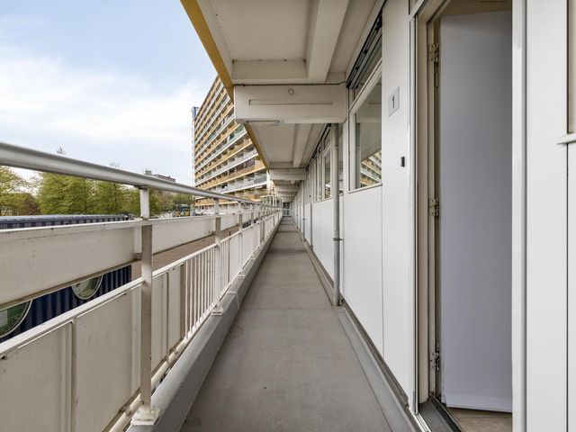 Pharus 1, Zaandam