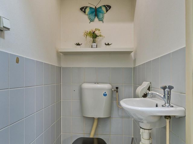 Pharus 1, Zaandam