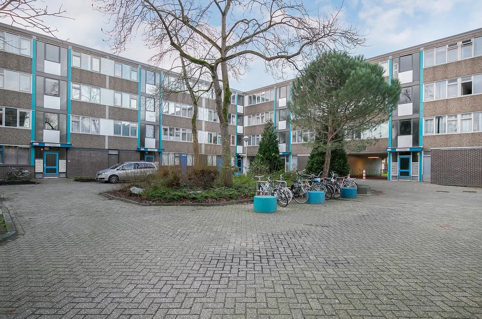 Grootzeil 135