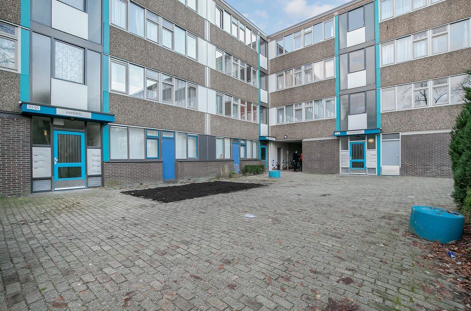 Grootzeil 135