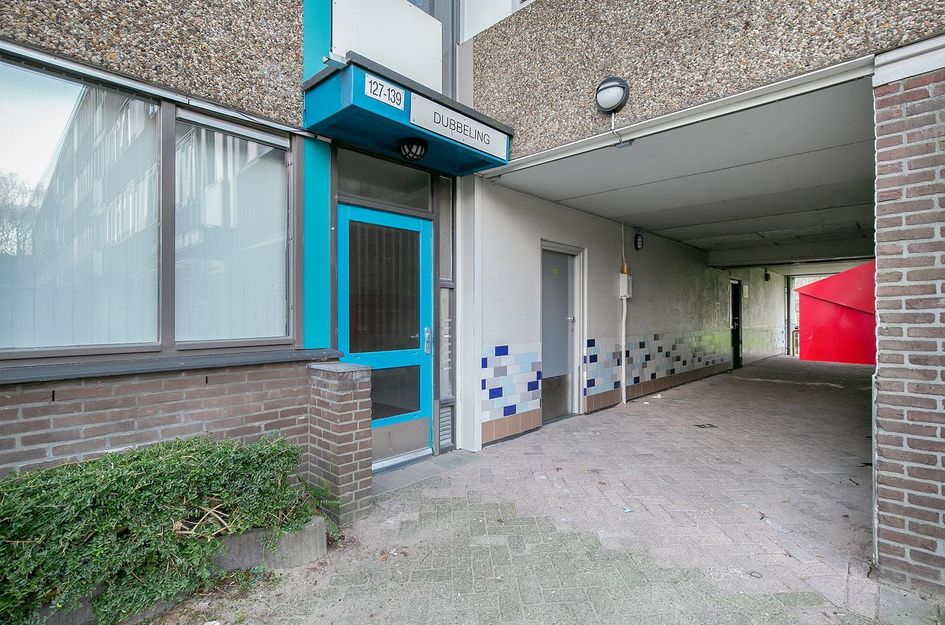 Grootzeil 135