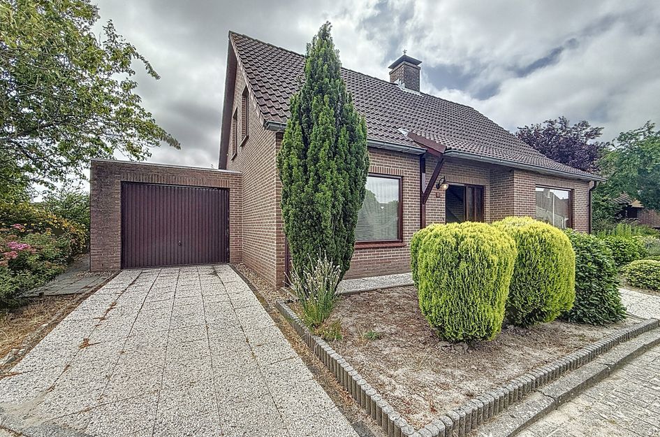 Galjoen 18