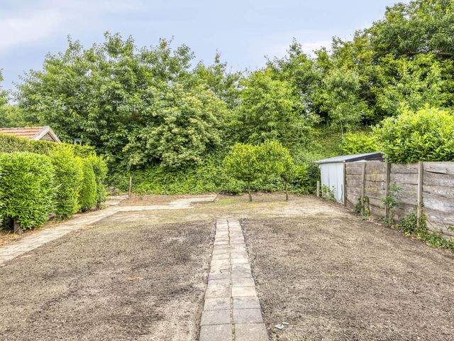 Langenboomseweg 50, Mill
