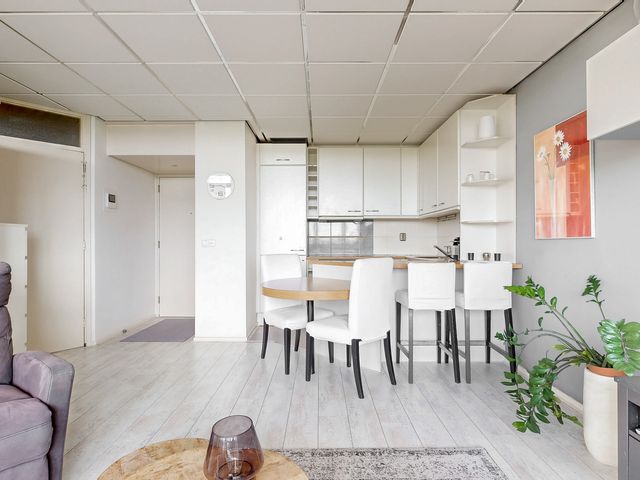 Vijf Meilaan 56, Leiden