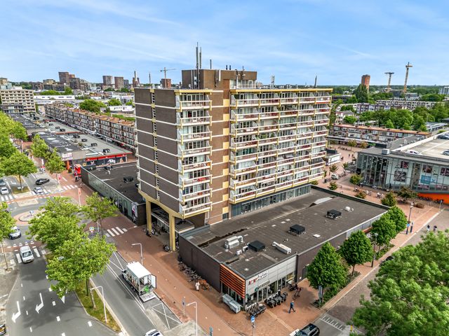 Vijf Meilaan 56, Leiden