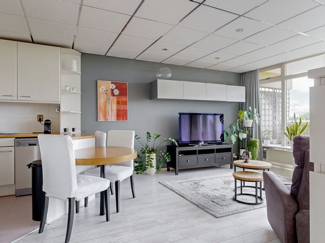 Vijf Meilaan 56, Leiden