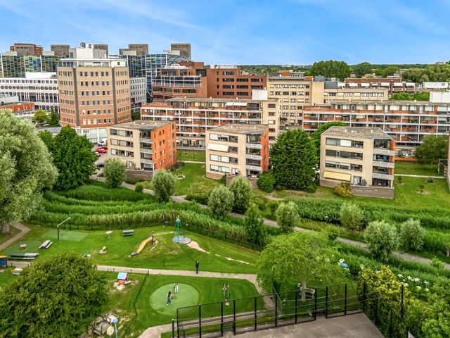 Virulypad 31, Leiden