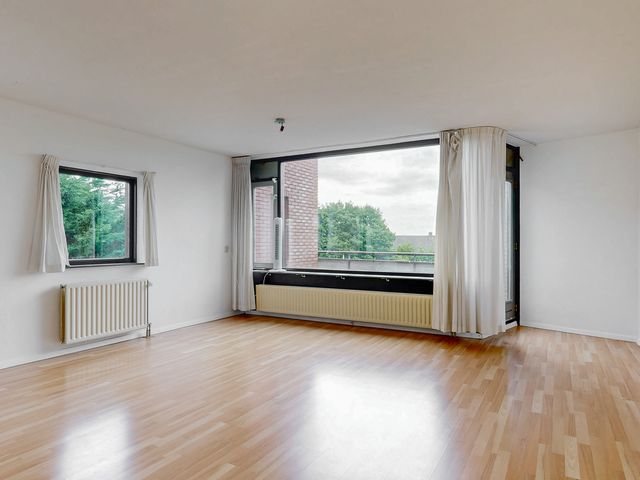Virulypad 31, Leiden