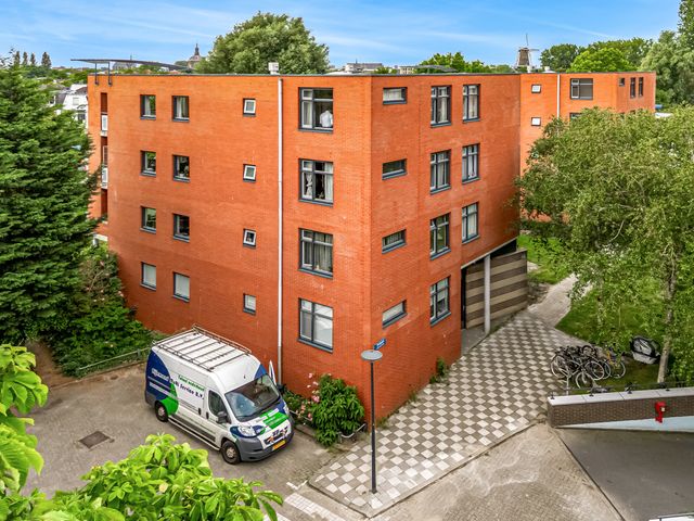 Virulypad 31, Leiden