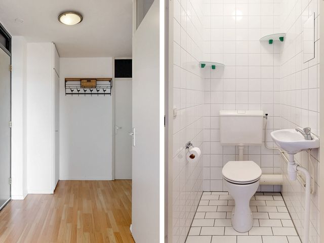 Virulypad 31, Leiden