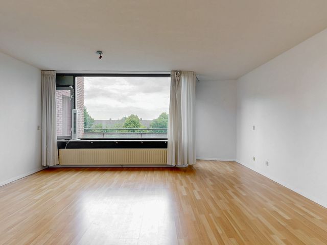 Virulypad 31, Leiden