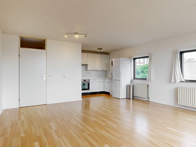 Virulypad 31, Leiden