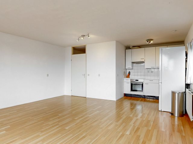 Virulypad 31, Leiden