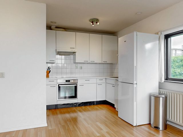Virulypad 31, Leiden