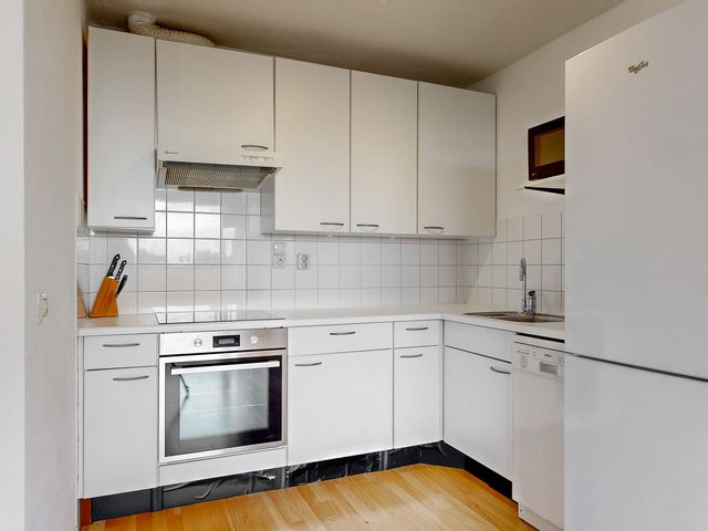 Virulypad 31, Leiden
