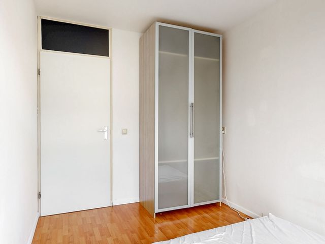 Virulypad 31, Leiden