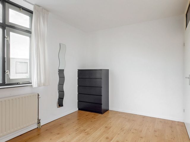 Virulypad 31, Leiden