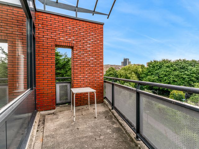 Virulypad 31, Leiden