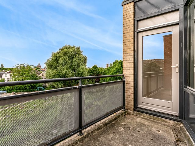 Virulypad 31, Leiden