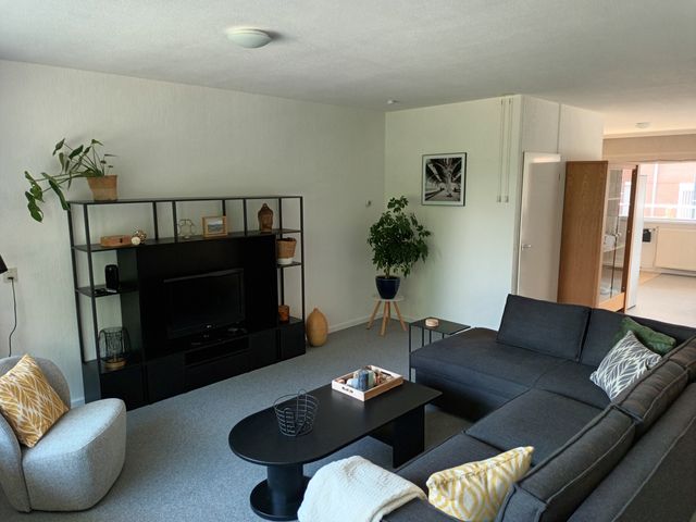Poolster 220, Hoorn