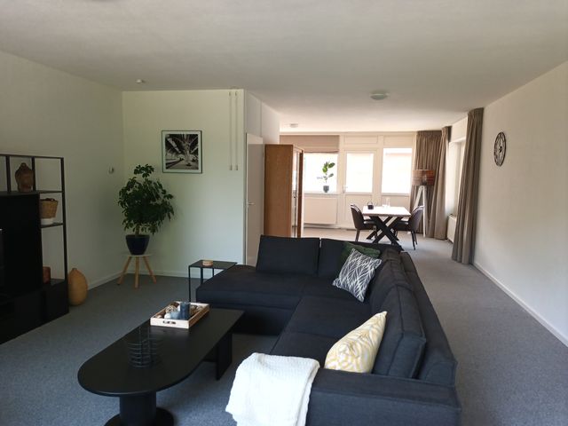 Poolster 220, Hoorn