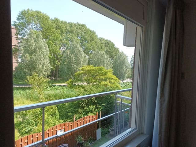 Poolster 220, Hoorn