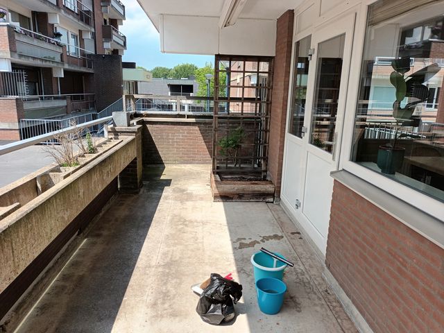 Poolster 220, Hoorn