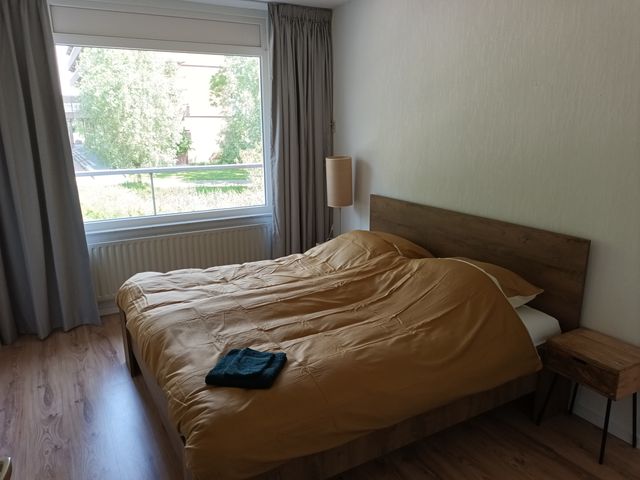 Poolster 220, Hoorn