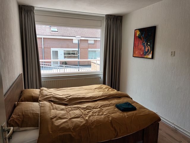 Poolster 220, Hoorn