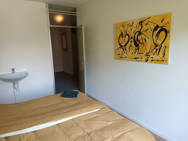 Poolster 220, Hoorn