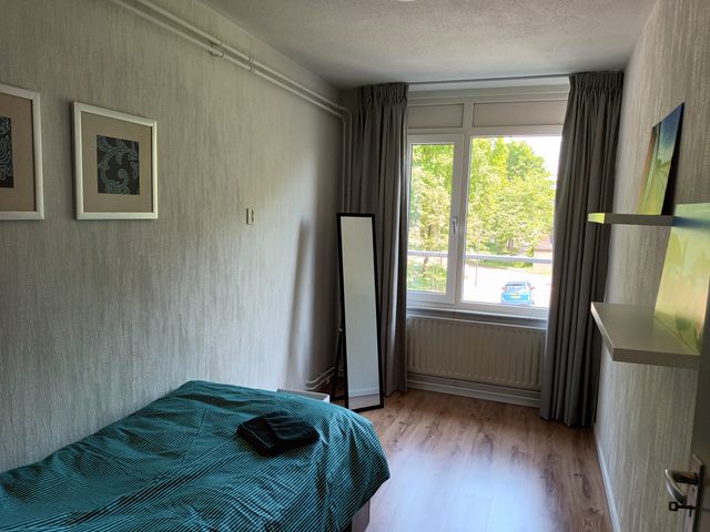 Poolster 220, Hoorn