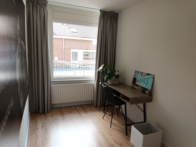 Poolster 220, Hoorn