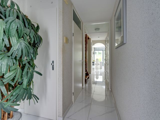Serenade 33, Zaandam