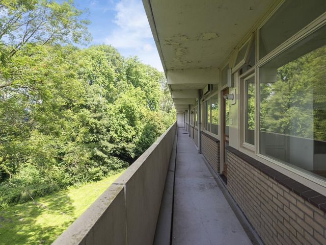 Pinksterbloemweg 151, Zaandam