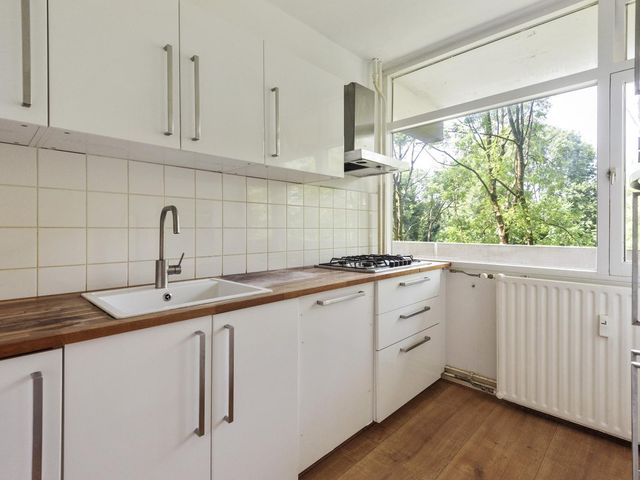 Pinksterbloemweg 151, Zaandam